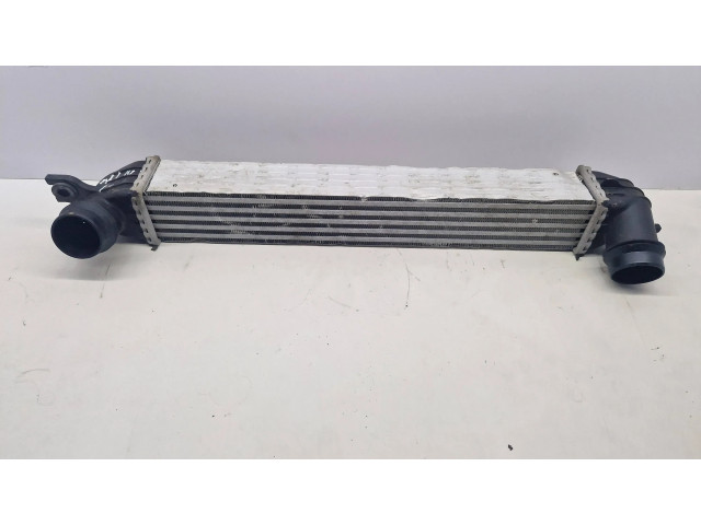 Интеркулер  1751850690402, X4446002   Mini Cooper Countryman R60 1.6