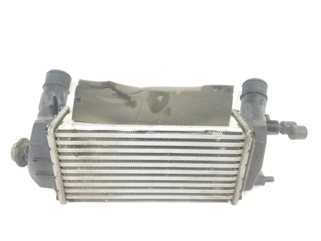 Интеркулер  2163154, H1BG6K775AC   Ford Ecosport 1.0