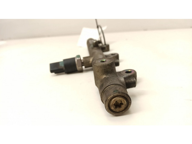 Vstřikovací lišta 0445214019, 010831   Peugeot 307  pro naftový motor 2.0  