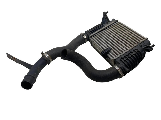 Интеркулер  14461EM00A, IA1456   Nissan Juke I F15 