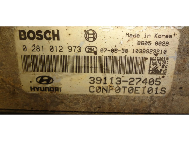 Řídící jednotka 0281012973, 39113-27405   Hyundai Sonata 2007