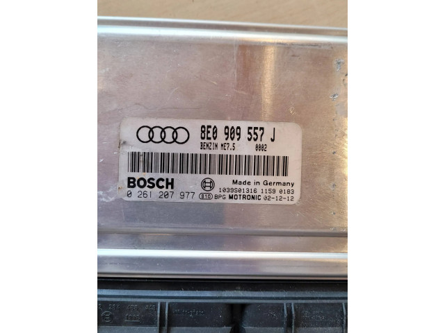 Блок управления двигателя 8E0909557J, 1039S01316   Audi A6 S6 C5 4B