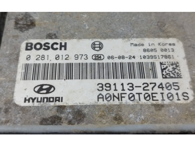 Блок управления двигателя 3911327405, 0281012973   Hyundai Sonata
