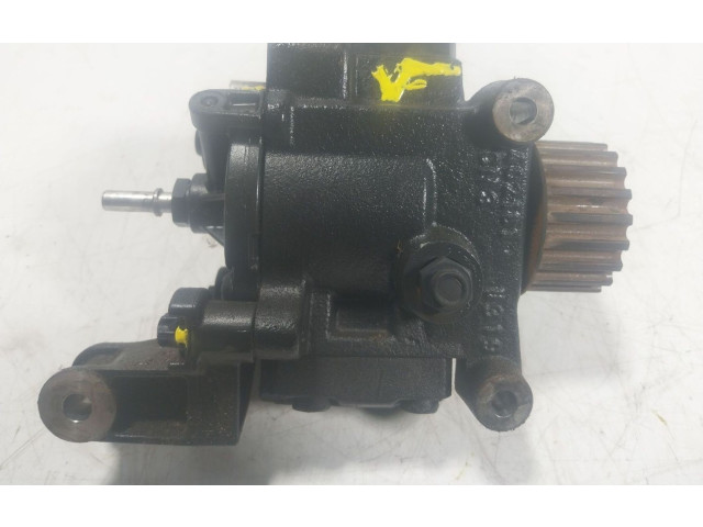 Vstřikovací čerpadlo 167003669R   Renault Megane IV    K9K 646,K9K 648,K9K 656,K9K 657 