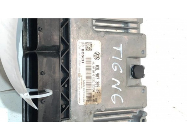 Блок управления двигателя 03L907309AE, 81017946   Volkswagen Tiguan