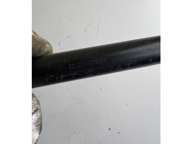 Vstřikovací čerpadlo 6025100991, 7724AL   Nissan Terrano     