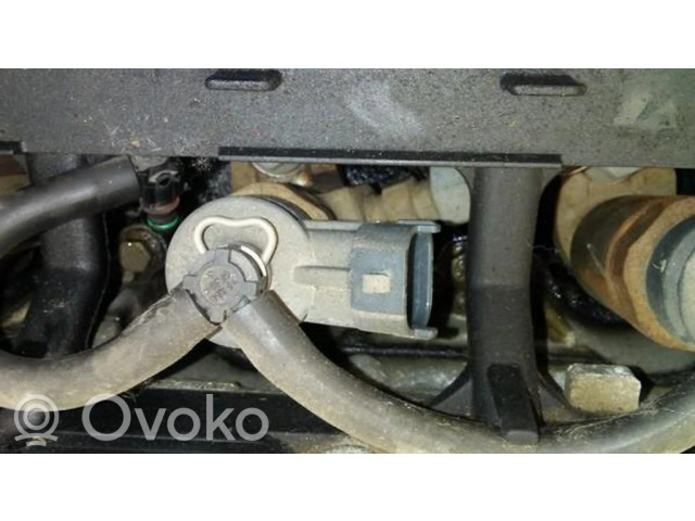 Форсунка 0445110075, 9641496180    Citroen C3 для дизельного двигателя  1.4