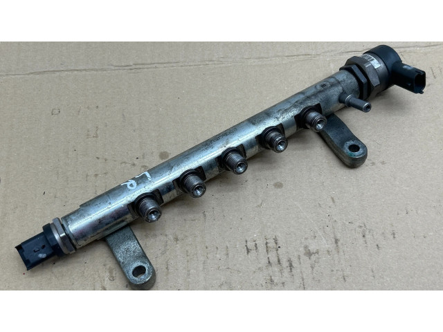 Vstřikovací lišta 9670890580, 9671002980   Land Rover Range Rover Evoque L538  pro naftový motor 2.2 BG9Q6007BA 22DDER