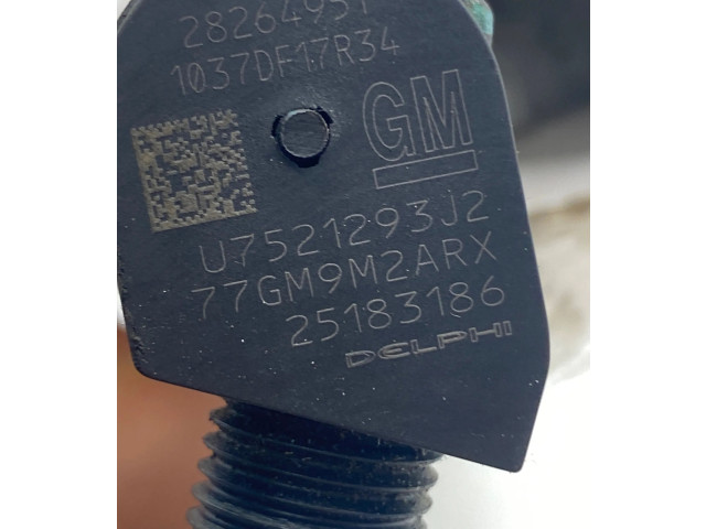 Форсунка 25183186, 28264951    Opel Antara   