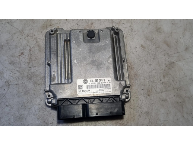 Řídící jednotka 03L907309M, 0281017553   Volkswagen Transporter - Caravelle T5 2012