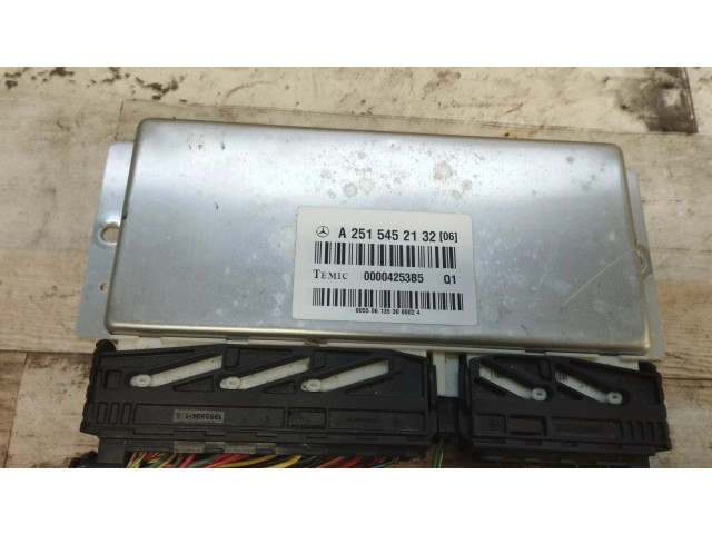 Блок управления A2515452132, 00004253B5   Mercedes-Benz R AMG W251
