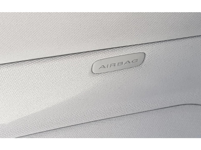 Боковая подушка безопасности    Audi A8 S8 D3 4E