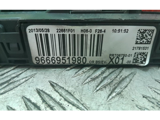   Pojistková skříňka 9666951980   Peugeot 207 2013