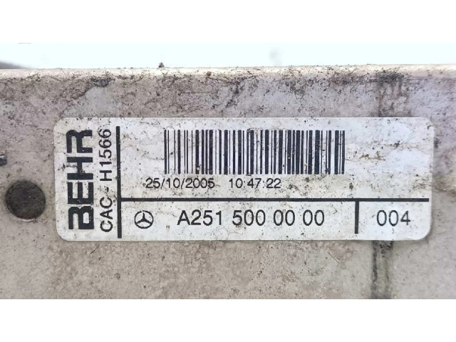 Интеркулер  A1645001900, A2515000000   Mercedes-Benz ML W164 3.0