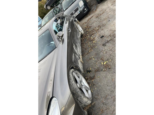 Zpětné zrcátko  Mercedes-Benz CLS C219 2006  2198100376, 2198100376  