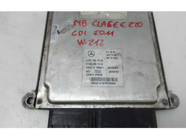 Řídící jednotka A6519007500   Mercedes-Benz E W212 2009