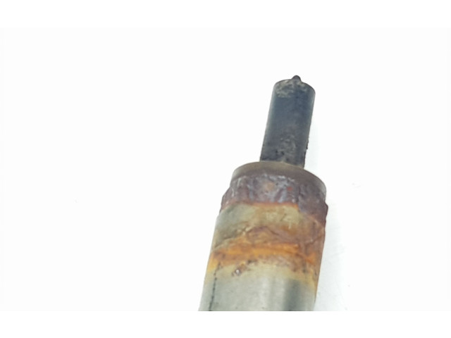 Форсунка 166000121R, 166000121R    Dacia Dokker   