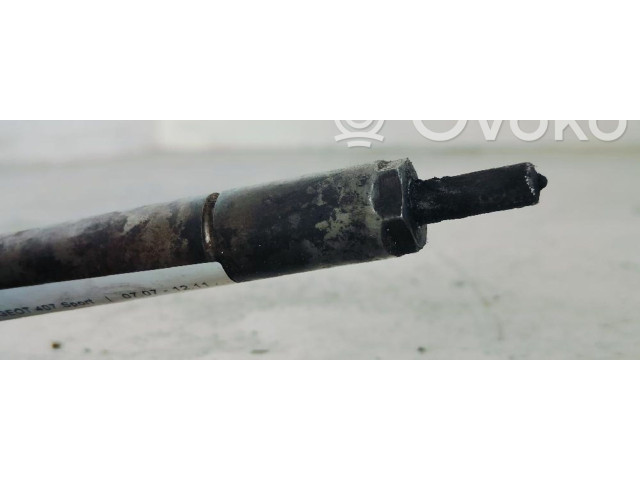 Vstřikovač 9657144580   Peugeot 407    RHRDW10BTED4 