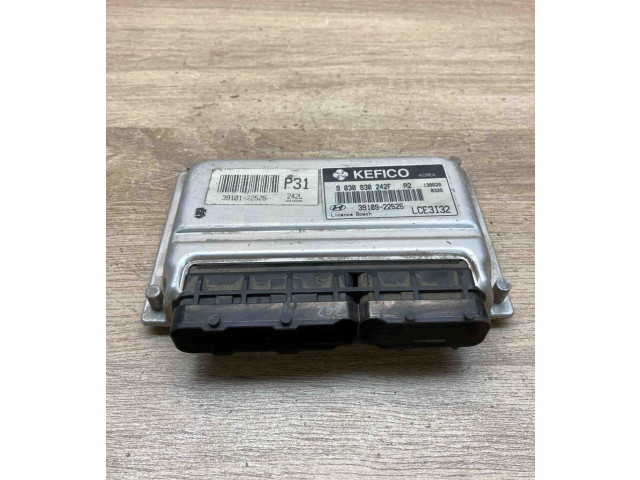 Řídící jednotka 3910922525, 9030930242F   Hyundai Accent 2003