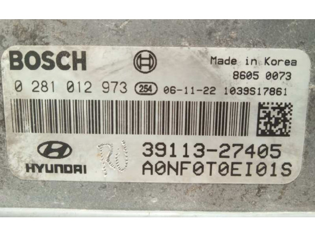 Řídící jednotka 3911327405, 0281012973   Hyundai Sonata 2007