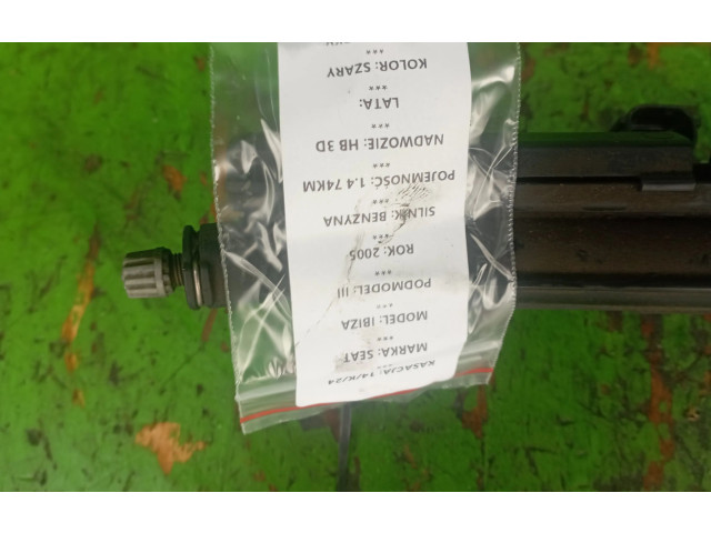 Топливная рампа    Seat Ibiza III (6L)  