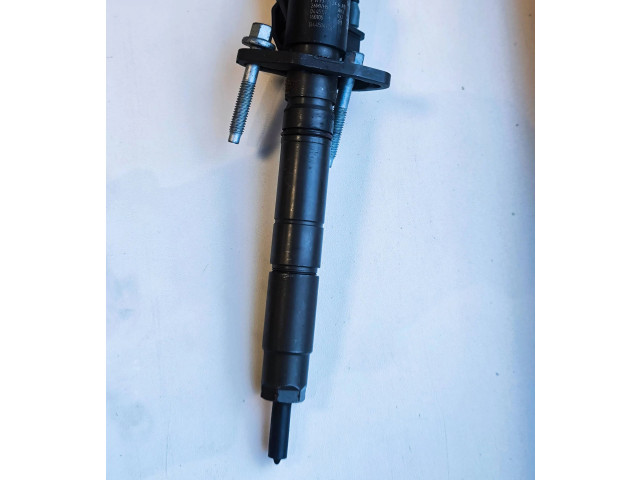 Vstřikovač FW939K546AB, B445141261   Land Rover Range Rover Sport L494    306TD 