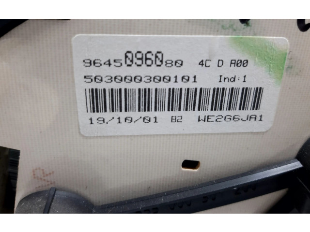 Přístrojová deska  Peugeot 206 2001 9645096080, 109850  