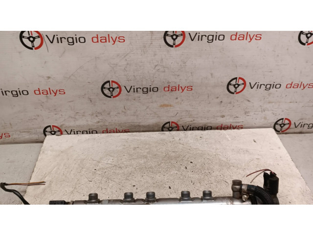 Vstřikovací lišta 7809129, 3606755   BMW X1 E84  pro naftový motor 2.0  