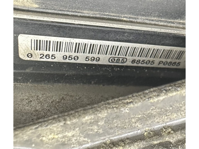 Vstřikovací lišta 0014461489, 0265950599   Mercedes-Benz Vito Viano W639    OM 646.983 