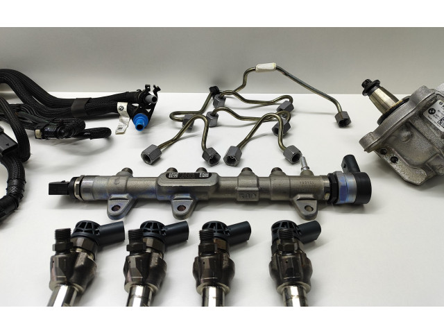 Комплект системы впрыска топлива 0445010768, 8514148    BMW 5 G30 G31  2.00 l / 140 kW (B47O) 