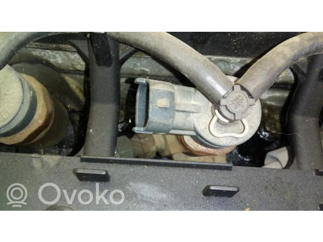 Форсунка 0445110075, 9641496180    Citroen C3 для дизельного двигателя  1.4