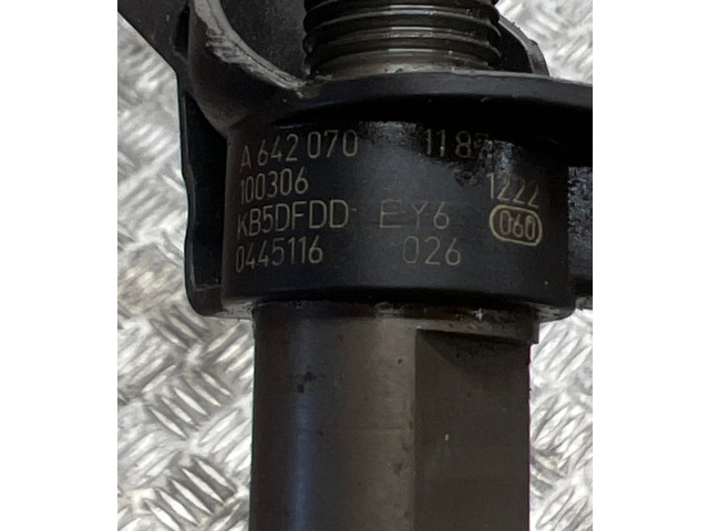 Жиклер (жиклеры) (форсунка (форсунки) A6420701187, 100306   Mercedes-Benz E C207 W207 2010