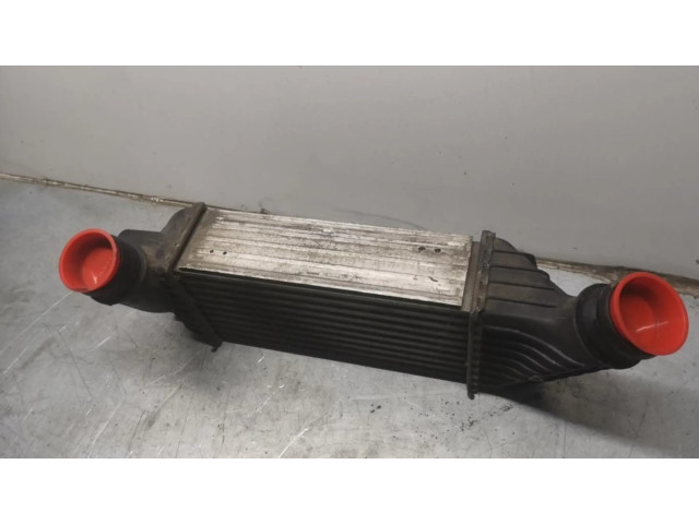 Интеркулер  1440094280   Fiat Scudo 