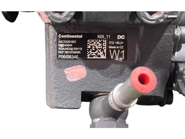 Vstřikovací čerpadlo 167003669R, 5WS40844   Renault Megane IV     