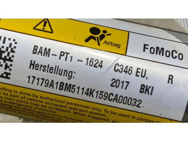 Боковая подушка безопасности 17179A1BM, BAMPT11624   Ford Focus