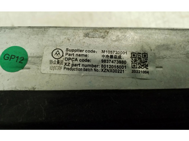 Интеркулер  9837473980, YL00580380   Citroen C5 X 