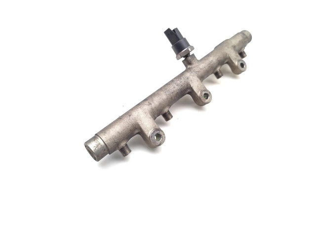 Топливная рампа 9655182580, 0281002592   Fiat Scudo   для двигателя RHZ