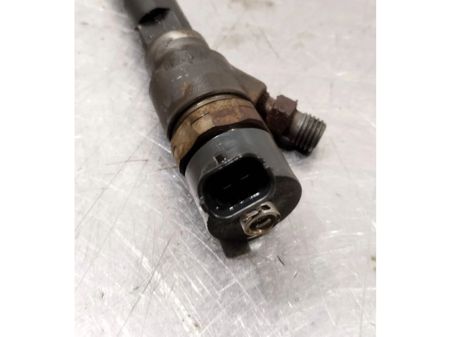 Vstřikovač 0445110270, 96440397   Opel Antara    Z20dm 