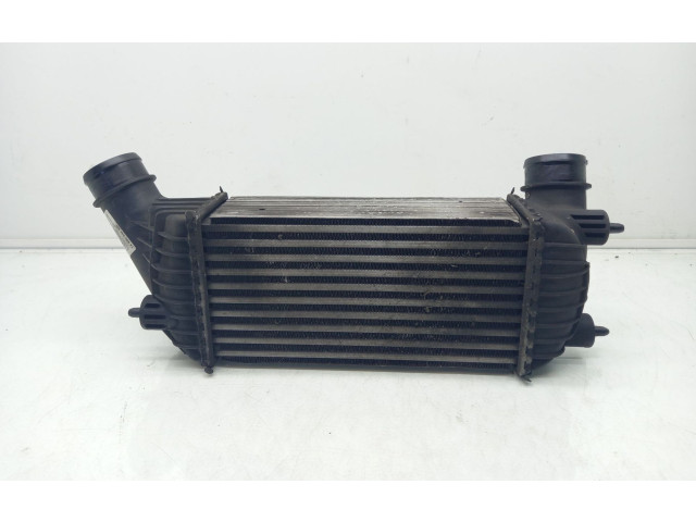Интеркулер  1440094280, E5542007   Citroen Jumpy 