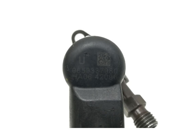 Форсунка 9659337980    Fiat Scudo   