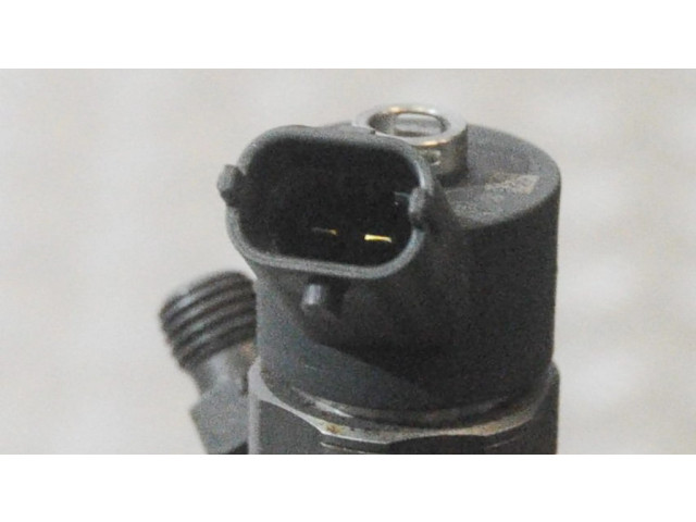 Комплект форсунок 96440397, 0445110270    Chevrolet Captiva для дизельного двигателя  2