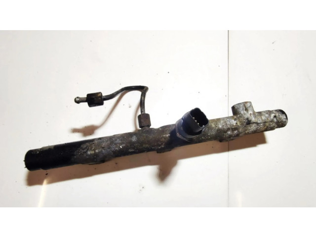 Vstřikovací lišta 0445214019   Peugeot Expert  pro naftový motor 2.0  