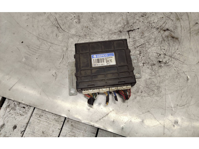 Řídící jednotka 3912138411, 9040930259A1   Hyundai Santa Fe 2004