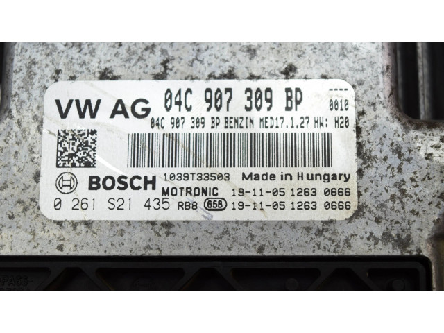 Блок управления двигателя 04C907309BP   Skoda Fabia Mk3 (NJ)