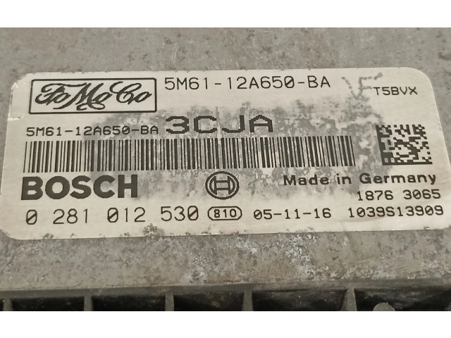 Řídící jednotka 5M6112A650BA, 0281012530   Mazda 3 I 2006