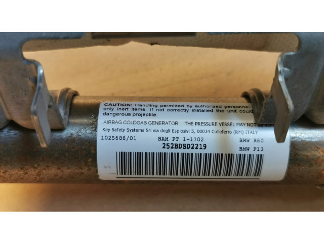 Боковая подушка безопасности 85915822006, 1025686   BMW 6 F12 F13