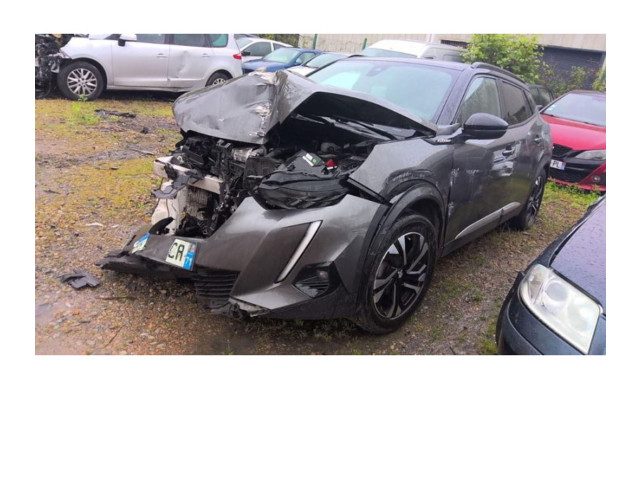   Pojistková skříňka 1665665080, 1665665080   Peugeot 2008 II 2021