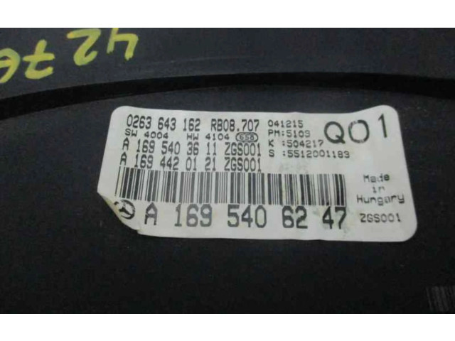 Přístrojová deska  Mercedes-Benz A W169  A1695406247  