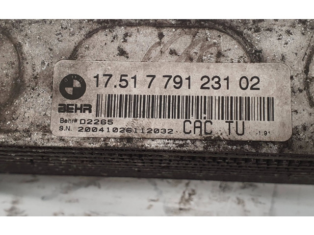 Vstřikovač 7791231   BMW X5 E53    24865778 