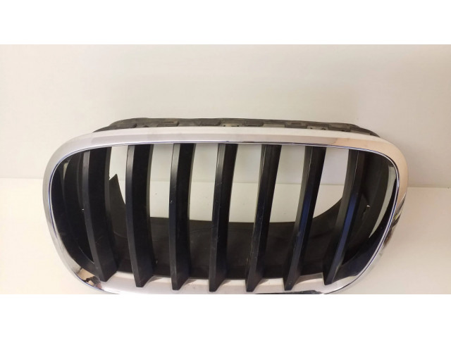 Передняя решётка BMW X5 E70 2006-2013 года 15671610, 51317157687      